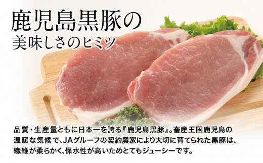 JA食肉かごしま】レンジで簡単！鹿児島県産黒豚肉と国産玉ねぎの