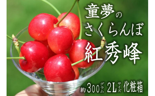 B12-141．【2023年6月発送】甲州市産大粒さくらんぼ 童夢の「紅秀峰」化粧箱（約300g 2Lサイズ）