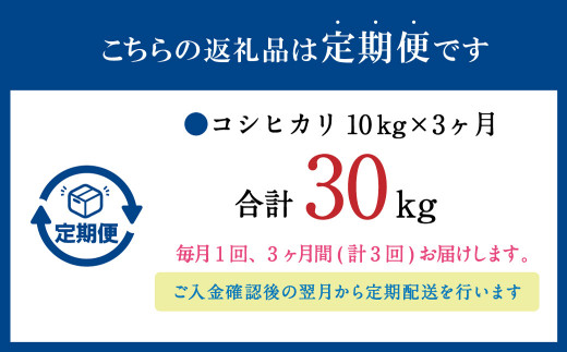 【3ヶ月定期便】 大分県産 コシヒカリ 10kg×3回 計30kg 精米 お米 こしひかり