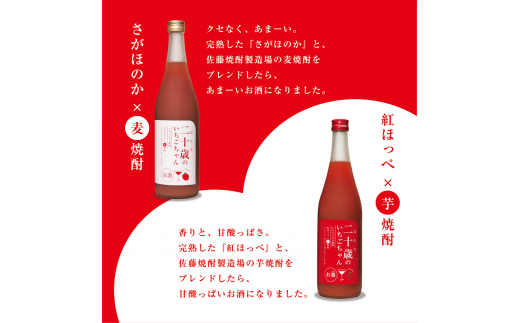 二十歳のいちごちゃん リキュール 飲み比べ 2本セット 贈答用 成人祝い　N085-ZA727