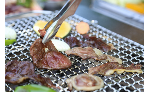 鳥取県産天然猪肉ミックススライス500ｇ 304479 - 鳥取県倉吉市
