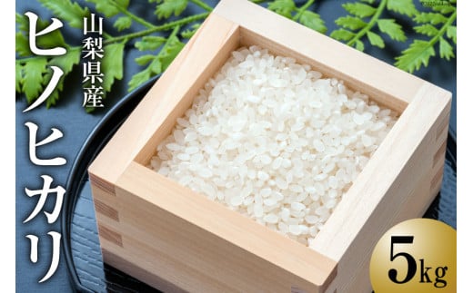 【令和7年産】 お米 ヒノヒカリ 5kg  [ラハマン農園 山梨県 中央市 21470429] 米 ご飯 ごはん 美味しい ひのひかり おこめ こめ コメ 5キロ 期間限定