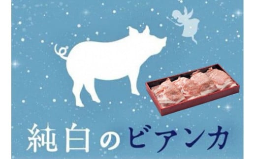 純白のビアンカ 豚ロース焼肉用 800g 豚肉 透き通るような 白い脂身 歯切れの良い 肉質 香り高い 上品な甘み 1D05010 303475 - 新潟県阿賀野市