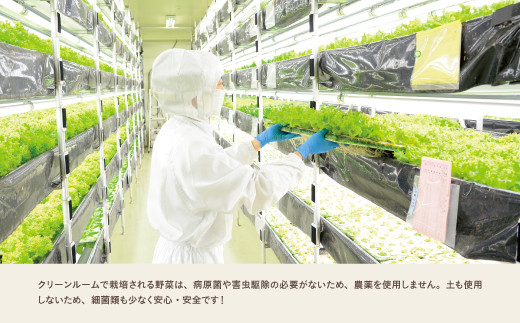 1-34 植物工場産野菜・お徳用セット