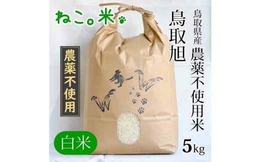 農薬不使用米 鳥取旭（５ｋｇ） 369680 - 鳥取県倉吉市
