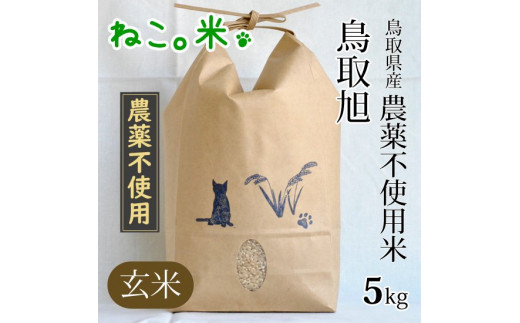 農薬不使用米 鳥取旭 玄米（５ｋｇ） 491559 - 鳥取県倉吉市