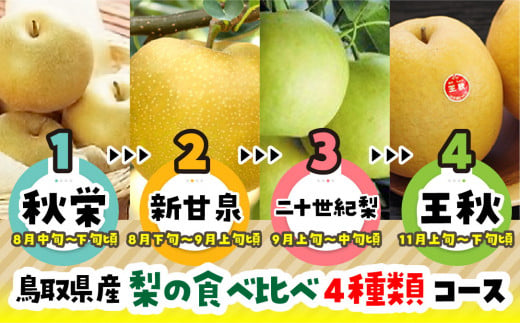 91.数量限定 【定期便】 鳥取県産 梨の食べ比べ 4種類コース