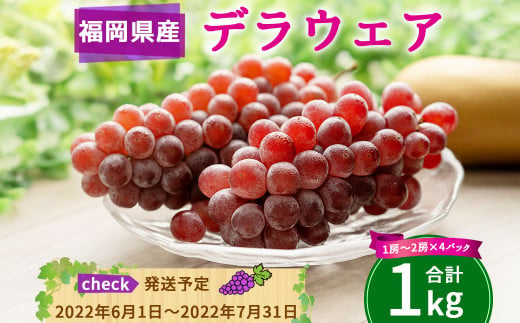 A122 デラウェア 1kg (1～2房×4パック) ぶどう 葡萄