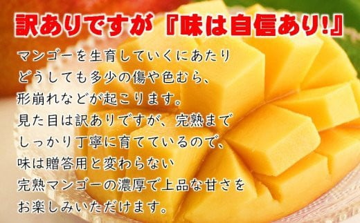 長友農園】訳あり家庭用完熟マンゴー1kg 2～3玉 宮崎県西都産【先行