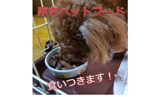 北海道の自然で育った栄養満点のエゾ鹿肉！愛犬に安心安全の無添加でお届けします！