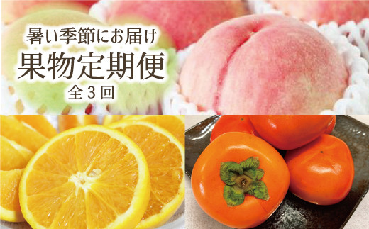 【3か月定期便】暑い季節にお届け！果物定期便　バレンシアオレンジ・桃・柿　旬のフルーツを毎月お届け♪
