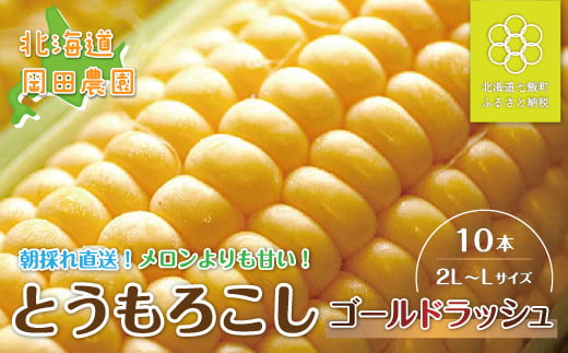 [先行予約]北海道七飯町産とうもろこし「ゴールドラッシュ」10本セット (8月から順次発送)※ご好評につきなくなり次第終了となります