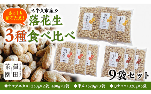 牛久市産落花生3種食べ比べ9袋セット 茨城県牛久市 ふるさと納税 ふるさとチョイス