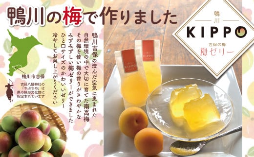 千葉県鴨川市の梅を使用した爽やかな酸味の梅ゼリーです。