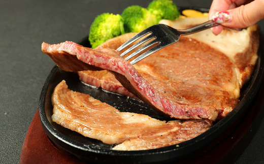 A5 博多和牛 サーロイン ステーキ 200g×5枚 合計1kg 和牛 お肉