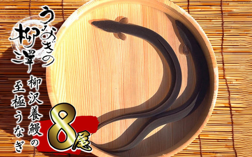 e0-035 熟練の技が冴える！うなぎの柳澤 鰻蒲焼き8尾(計1280g)