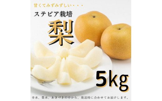 ステビア栽培「梨」5kg（幸水または豊水またはあきづき）