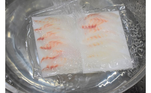 どっちも食べタイカ お刺身セット600g 天然真鯛 アオリイカ各300g 魚屋店長自慢の特製たれ付き D0069 福岡県福津市 ふるさと納税 ふるさとチョイス