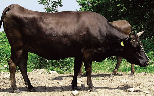 【厳選】山形県産黒毛和牛《5等級》山形牛ヒレステーキ 150g×2枚 F21A-072