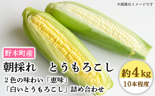 C06野木町産朝採れとうもろこし約4kg 黄白詰合せ 合計10本入り 野木町野木町 ふるさと納税 ふるさとチョイス