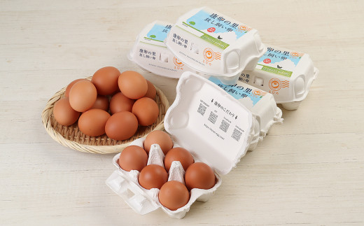 康卵の里 放し飼い卵 30個 個卵重52g～76g未満 たまご 卵