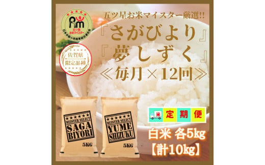 CI674【白米食べ比べ！】さがびより５㎏夢しずく５㎏【１２回定期便】【五つ星お米マイスター厳選！】