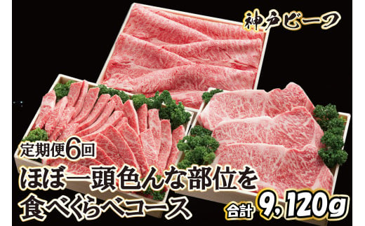 神戸牛 ほぼ一頭色んな部位を食べくらべコース（定期便６回）[620] 755632 - 兵庫県多可町
