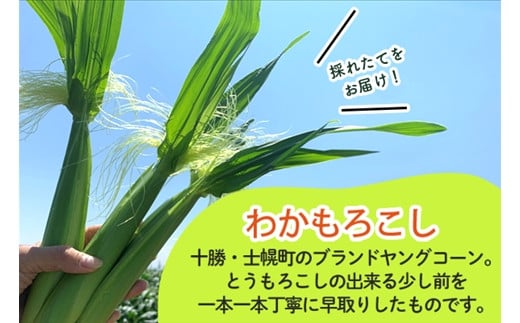 士幌町の短い夏の旬の味覚、どうぞ『生』の美味しさと旬をご堪能下さい。