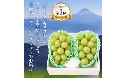 ふるさと納税 山梨県産 シャインマスカット 約1.8kg 産地直送