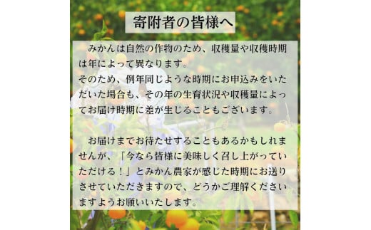 和歌山県有田市のふるさと納税 有田みかん「風のしるし」（10kg）(A241-1)