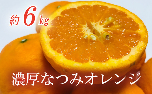 【みかん名産地和歌山有田】濃厚なつみオレンジ(ご家庭用) 約６kg