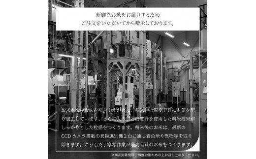 米 10kg 5kg×2袋 あきたこまち 令和5年産 2023年産 山形県産 無洗米 ob-akxxa10-m