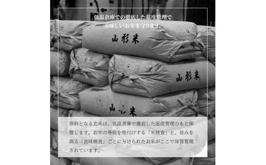 米 10kg 5kg×2袋 あきたこまち 令和5年産 2023年産 山形県産 無洗米 ob-akxxa10-m