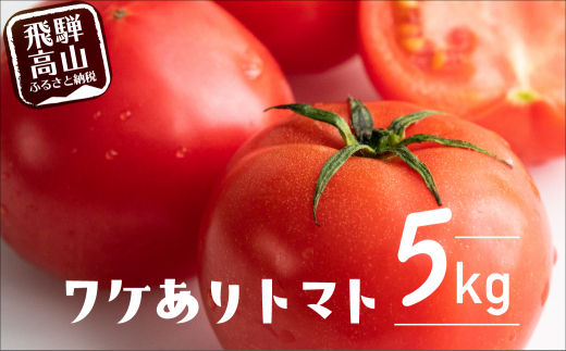 2023年 先行予約 トマト 約5kg 規格外 大玉トマト 飛騨産トマト 桃太郎