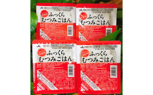 ごかを食べよう!セット15(パックごはん 8個セット) / コシヒカリ レトルトご飯 茨城県 特産品