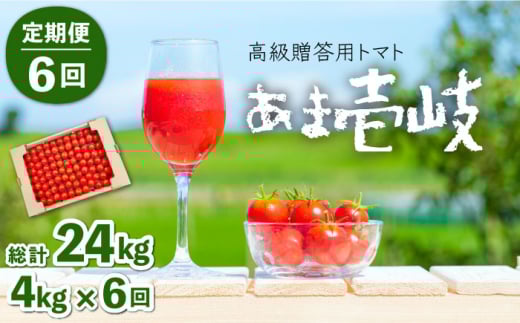 【全6回定期便】高級贈答用トマト「あま壱岐」約4kg [JAE007] 168000 168000円  521929 - 長崎県壱岐市