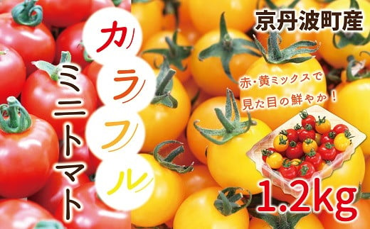 完熟収穫した赤黄ミックスのカラフルなミニトマトは、糖度10度以上の高糖度でフルーツ感覚。
