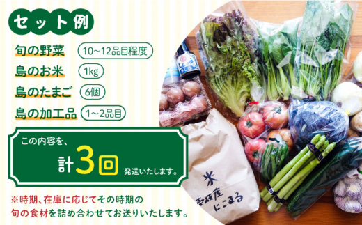 【全3回定期便】壱岐産食材詰め合わせBOX「野菜」 [JBF015] 60000 60000円 6万円