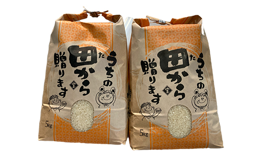 定期便』令和5年産米 至福のはえぬき（精米）5kg×2袋 全12回 米 お米
