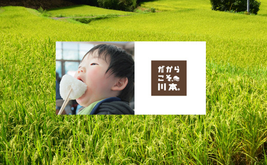 私たちが一所懸命作っています