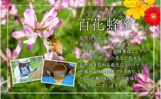 期間限定30％OFF! 【ふるさと納税】かの蜂 国産 百花 蜂蜜 1.8kg（300g ...