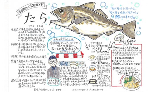 釧路町の真鱈のご紹介
