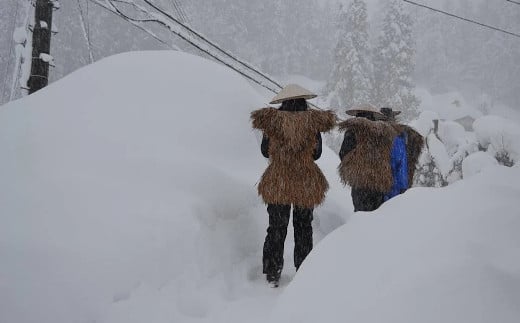 日本有数の豪雪地で私たちは暮らしています。
