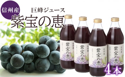 信州産 巨峰ジュース 「紫宝の恵」 果汁100％  (1ℓ×4本)