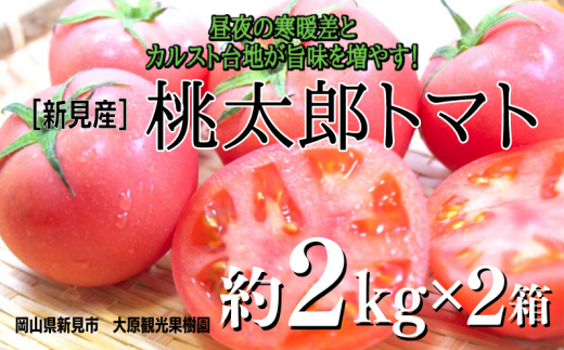 大原観光果樹園 桃太郎トマト 約2kg×2箱 【先行予約 2024年7月下旬から順次発送】