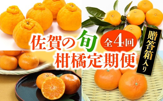 厳選!!佐賀の春夏秋冬を感じるワンランク上の旬の柑橘定期便【全4回】SC0010