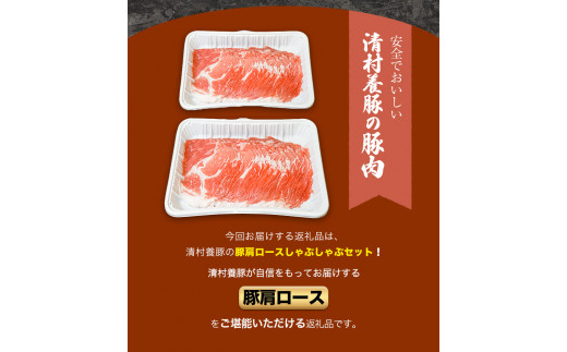 ふるさと納税 熊本県 御船町 肩ロースしゃぶしゃぶ 600g 清村養豚《60