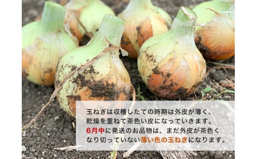 【５kg】兵庫県認証食品★特別栽培★淡路島たまねぎ