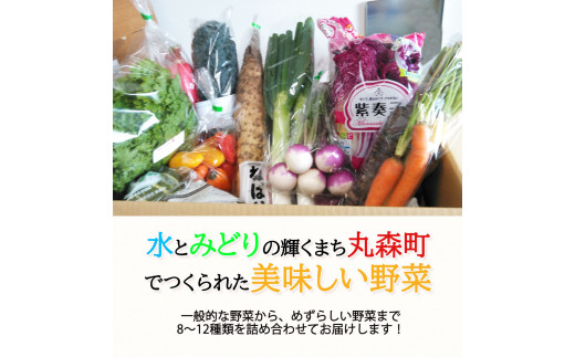 季節のおすすめ野菜おまかせ詰め合わせBOX 8種～12種類【16002】
