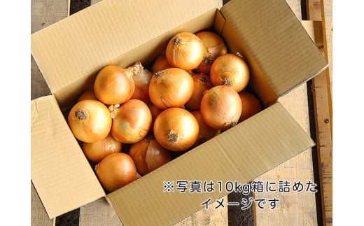【５kg】兵庫県認証食品★特別栽培★淡路島たまねぎ